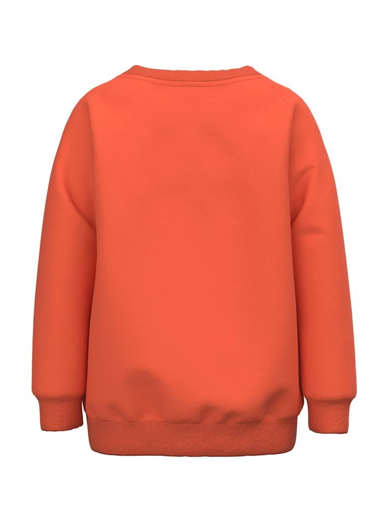 Ni Pulover Sportiv 2301