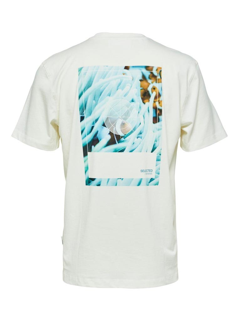 S Bluze Me Menge Te Shkurta 2206