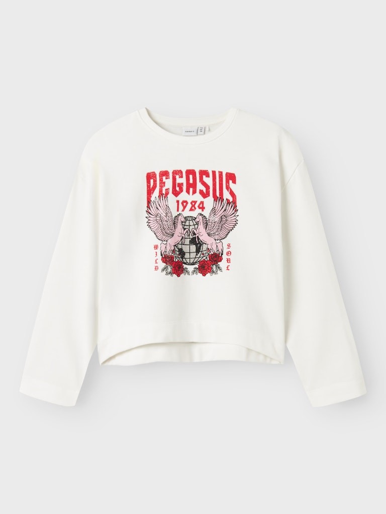 Ni Pulover Sportiv 2503