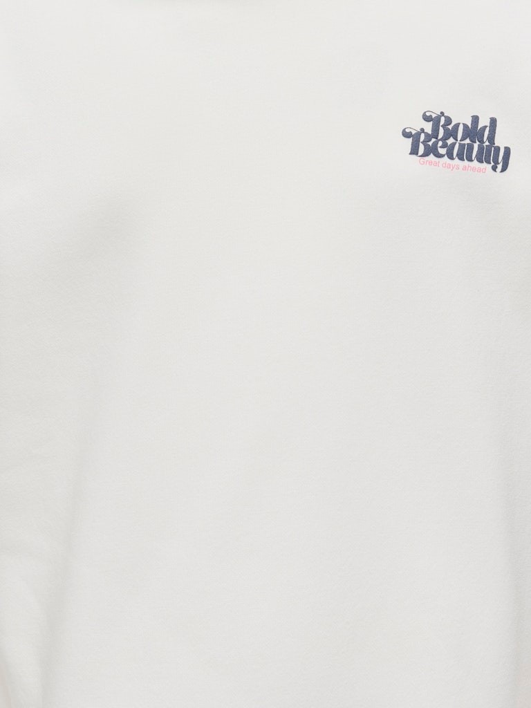 O Pulover Sportiv 2508