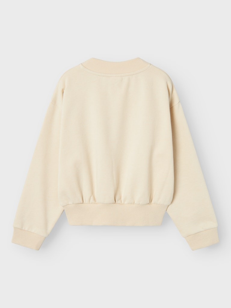 Ni Pulover Sportiv 2410