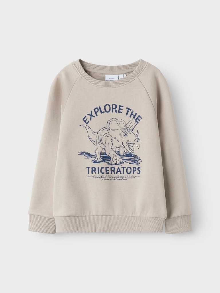 Ni Pulover Sportiv 2504