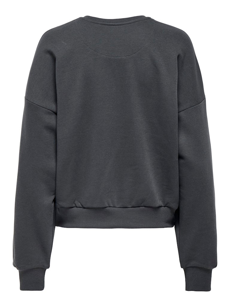 O Pulover Sportiv 2508