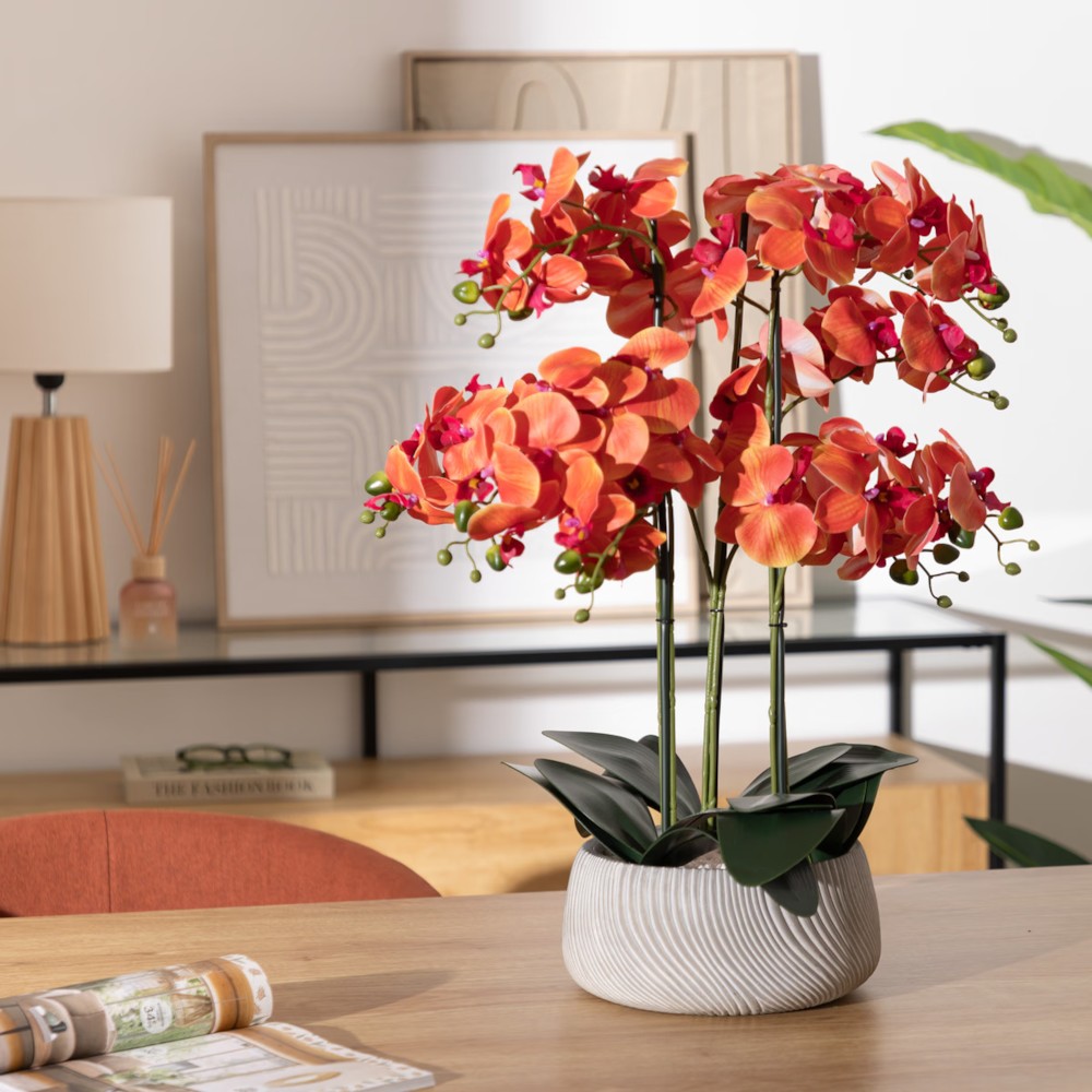 Orchide H60 - Vazo Me Lule