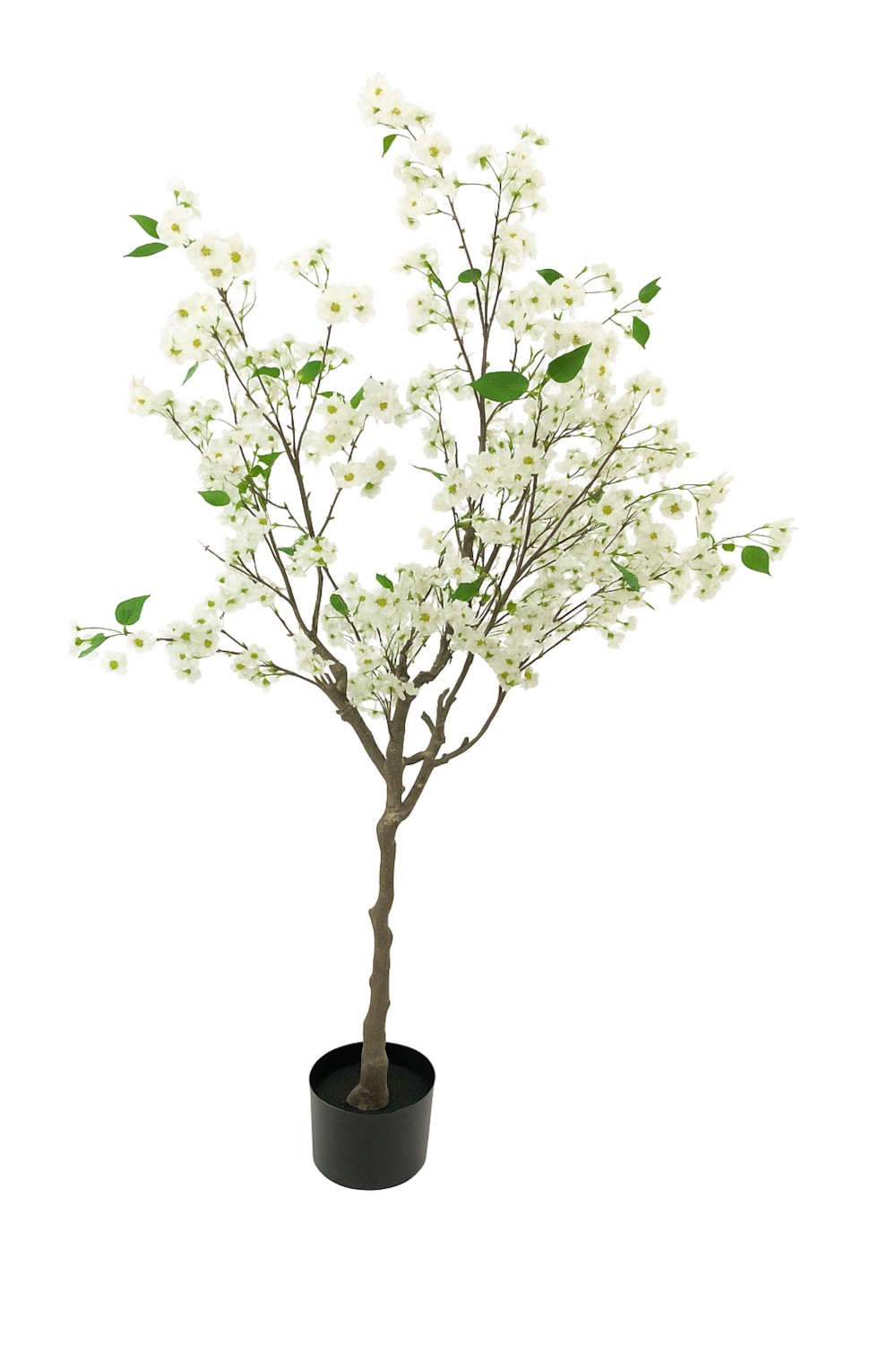 Cherry Blossom H180 – Vazo Me Lule