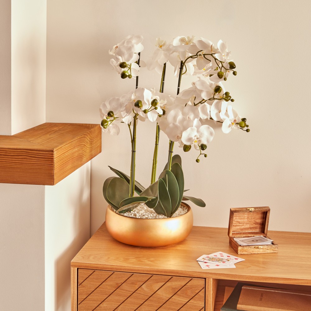 Orchide Gold H65 – Vazo Me Lule