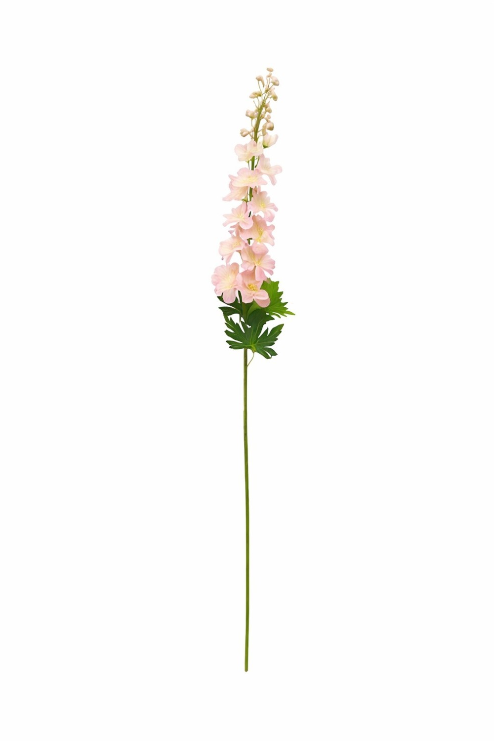 Phoebe H79 – Lule Artificiale 2