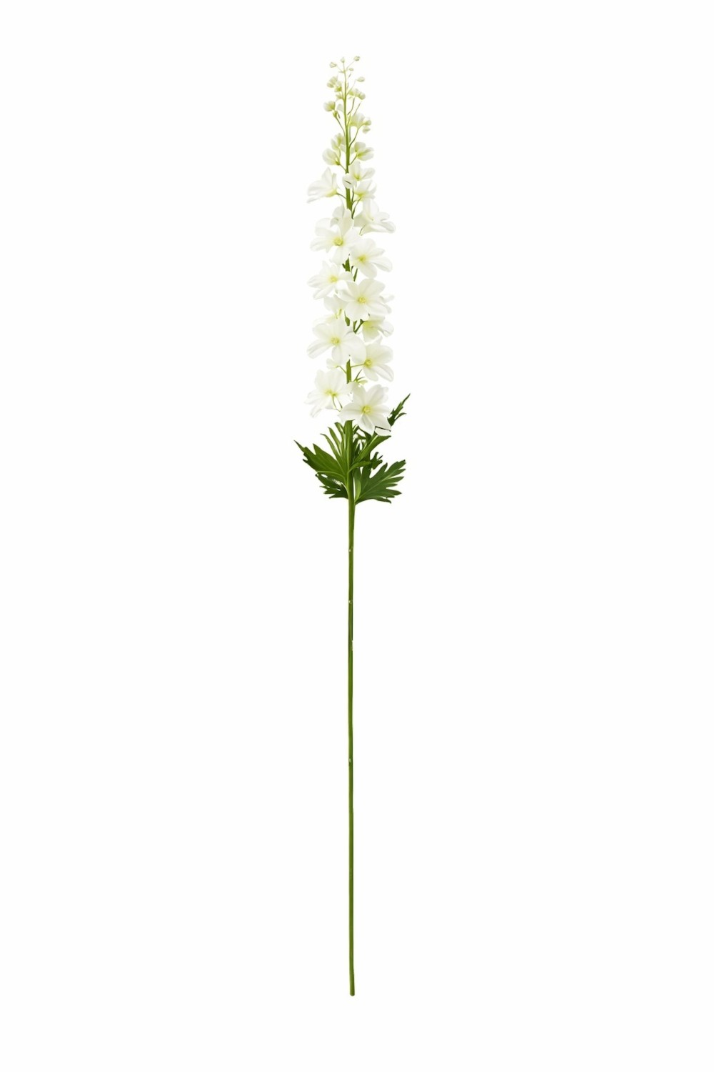 Phoebe H79 – Lule Artificiale 3