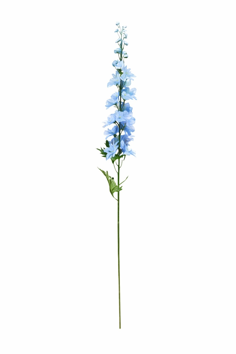 Phoebe H79 – Lule Artificiale