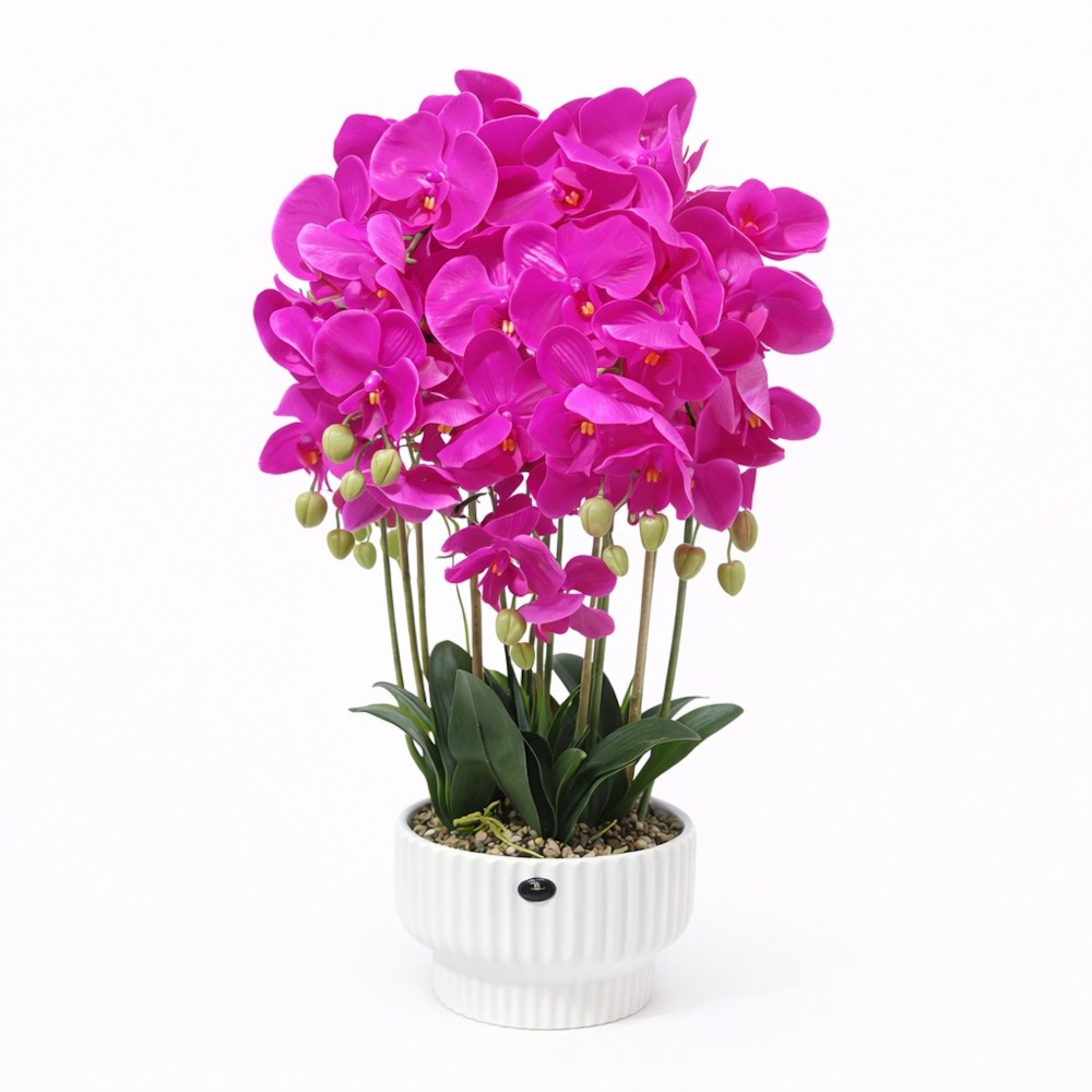 Orchide – Vazo Me Lule 2