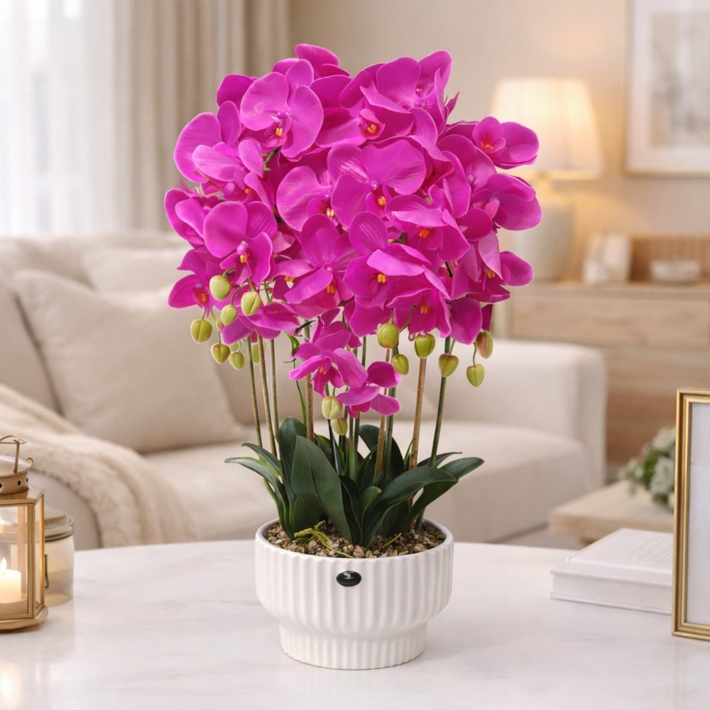 Orchide – Vazo Me Lule 3