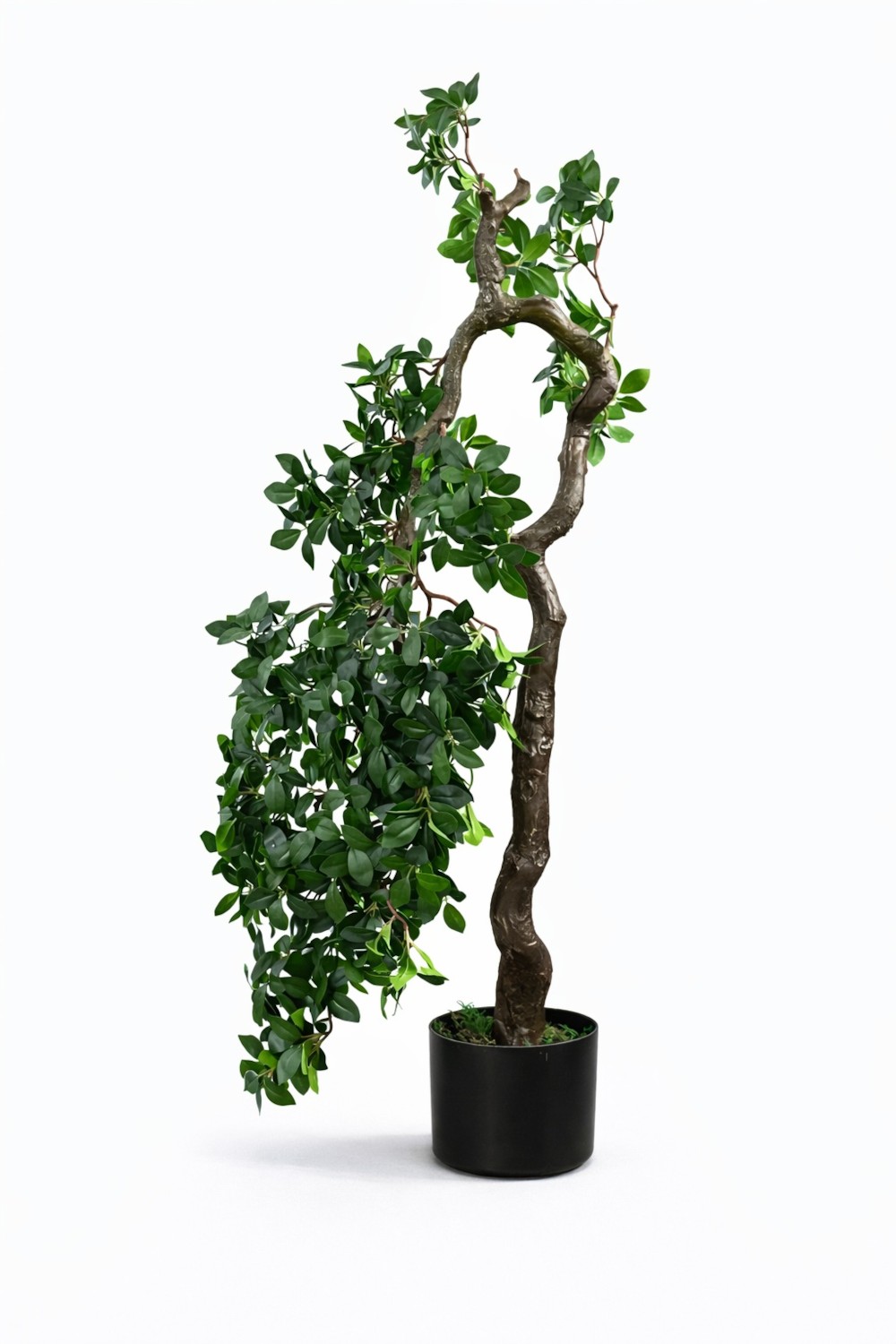 Bonsai H135 – Vazo Me Lule