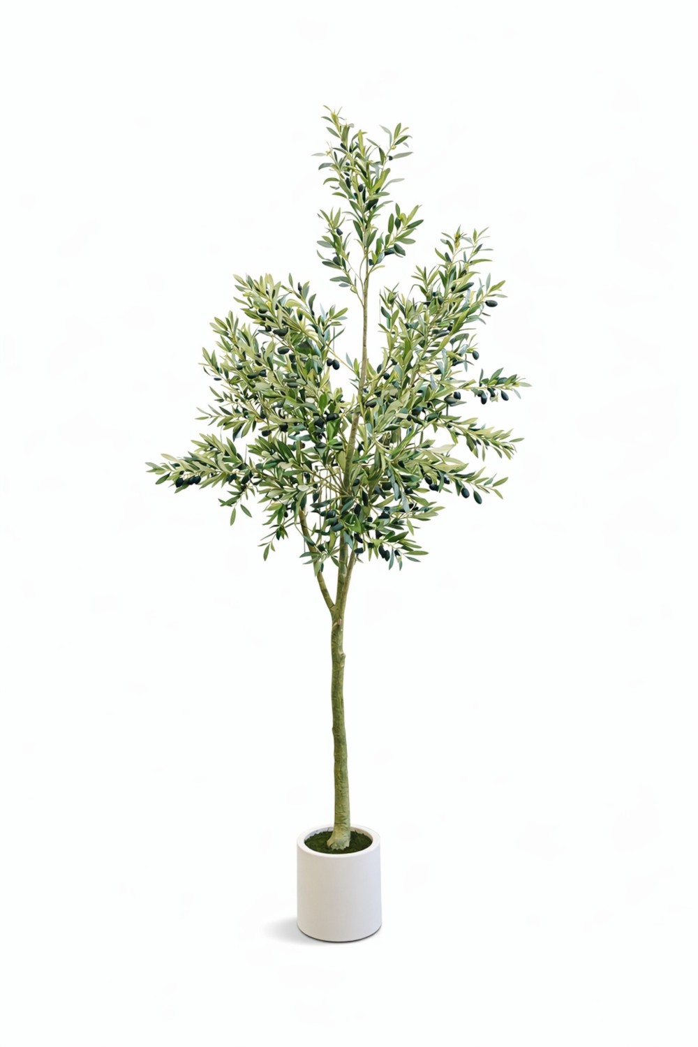 Olive H250 – Vazo Me Lule 2
