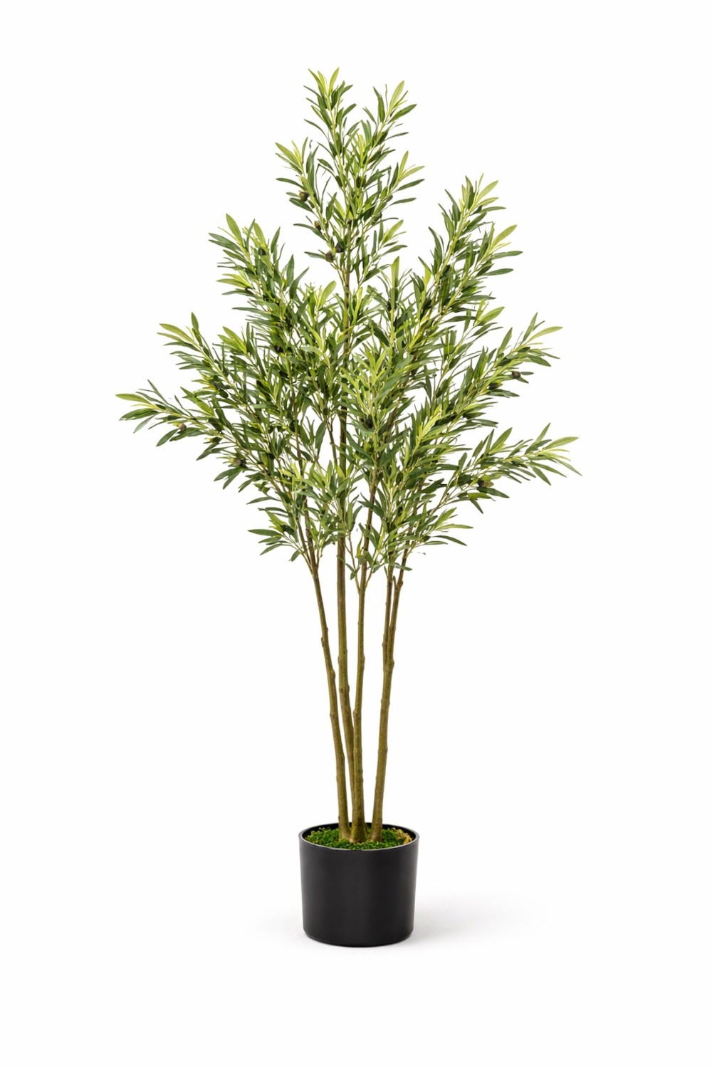 Olive H160 – Vazo Me Lule