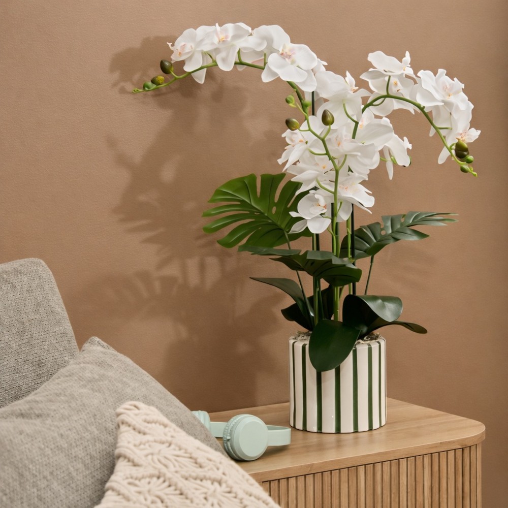 Asia H65 – Vazo Me Lule