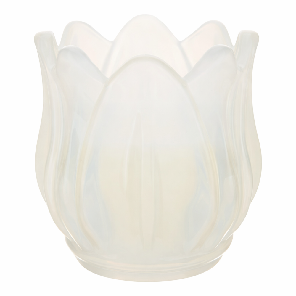 Fldr G – Qiri 75G 4