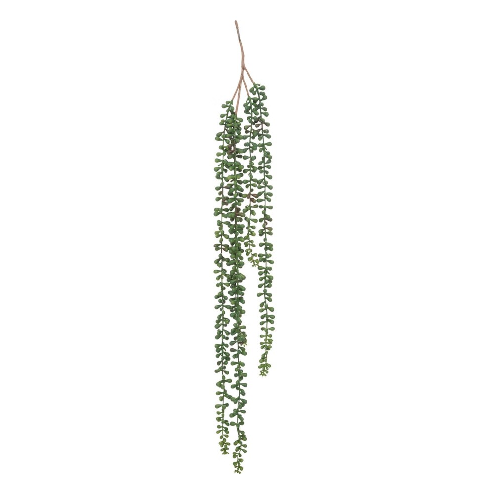 Ragwort H73 – Lule Artificiale