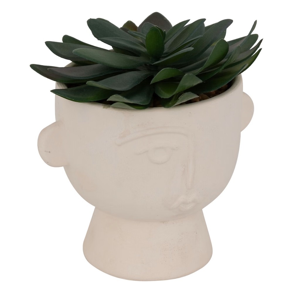 Succulent H22 – Vazo Me Lule 2