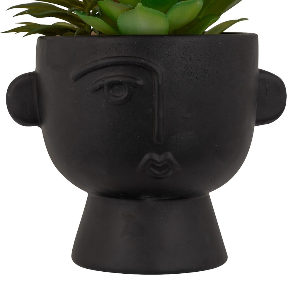 Succulent H22 – Vazo Me Lule 4