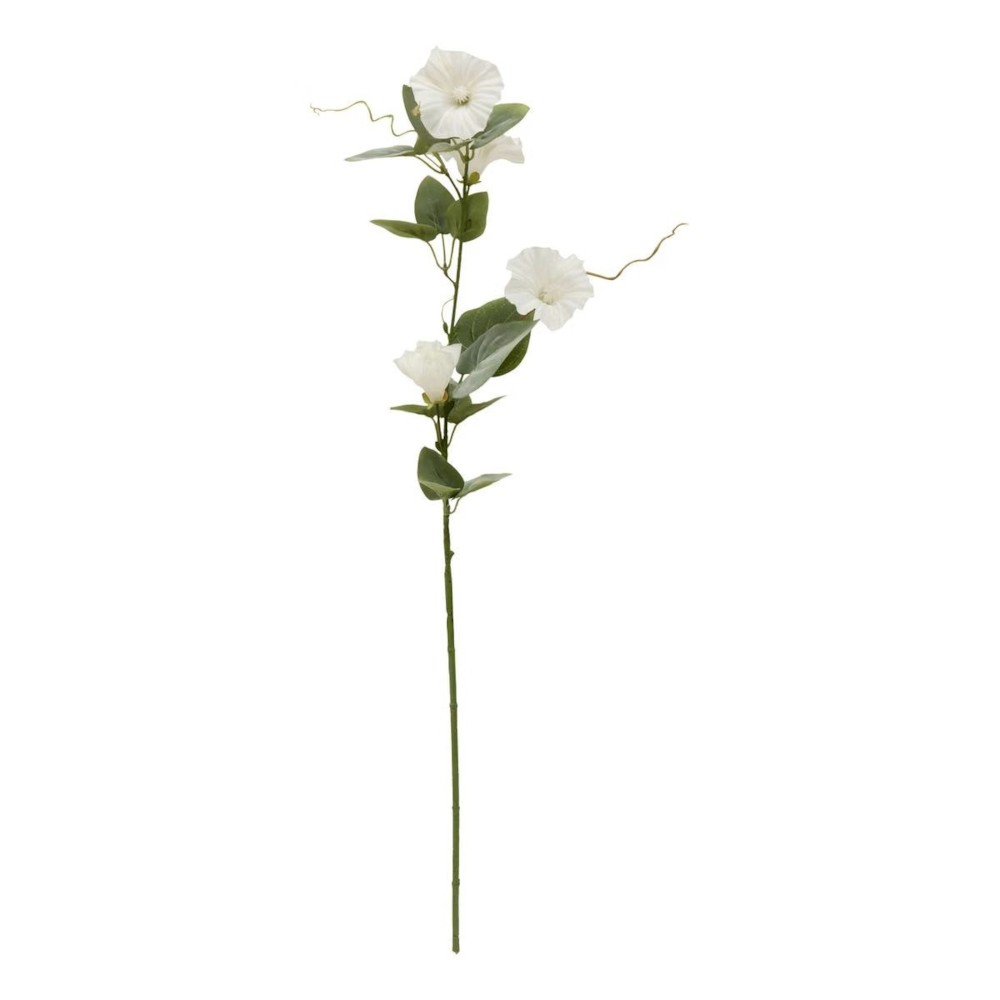 Phoebe H76 – Lule Artificiale 2