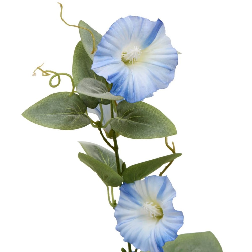 Phoebe H76 – Lule Artificiale 3