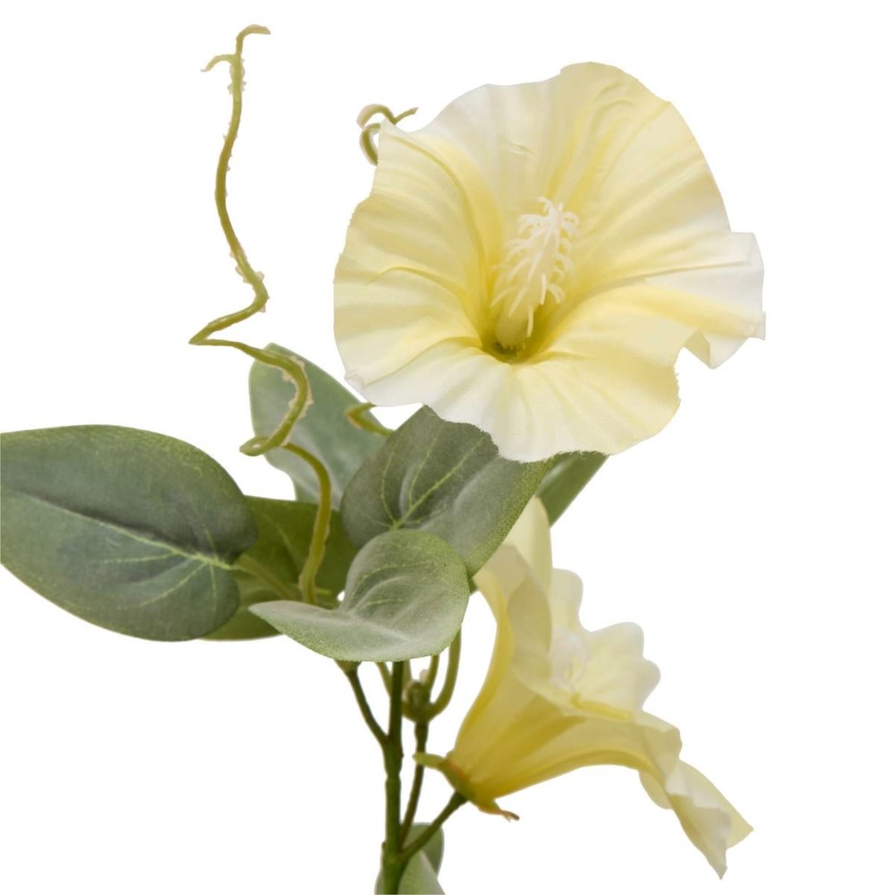 Phoebe H76 – Lule Artificiale 4