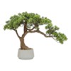 Bonsai Polin H45 – Vazo Me Lule 3