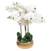 Orchide Gold H65 – Vazo Me Lule 3