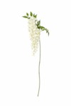 Wisteria H95 – Lule Artificiale 6