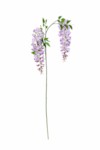 Wisteria H95 – Lule Artificiale 7