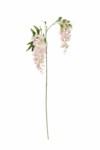 Wisteria H95 – Lule Artificiale 8