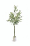 Olive H250 – Vazo Me Lule 3