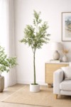 Olive H250 – Vazo Me Lule 4