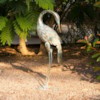 Heron H73 – Skulpture Dekorative 5
