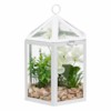 Terrarium Cage H23 – Vazo Me Lule 3