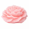 Fldr Rose – Qiri 80G 5
