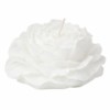 Fldr Rose – Qiri 80G 7