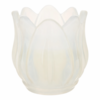Fldr G – Qiri 75G 7