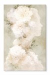 Lilia 80X120 – Pikture 3