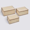 Five Stemy Beige – Shporte Per Rroba 3