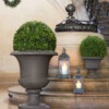 Boxwood D38 – Lule Artificiale 8