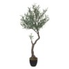 Olive Tree H140 – Vazo Me Lule 3