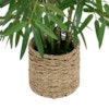 Bambou H100 – Vazo Me Lule 4
