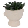 Succulent H22 – Vazo Me Lule 5