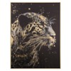 Lupita 58X78 – Pikture 4