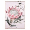 Shery 50X70 – Pikture 6